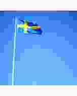 Flaggstång 10 meter